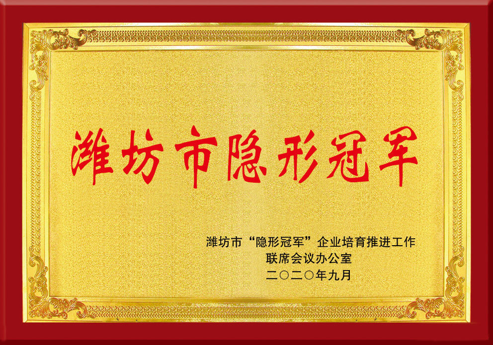 濰坊市隐形(xíng)冠軍